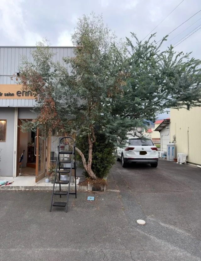 今週もたくさんのお客様にご来店いただき
誠にありがとうございます🙏

学生さんの夏休みも終盤となり、
8月もあっという間に過ぎていきました🍉

9月もスタッフ一同、精一杯頑張りますので
よろしくお願い致します🔥

 ーーーーーーーーーーーーーーーーー

enn hair salon
三重郡菰野町福村136-3

定休日月曜日+不定休

ーーーーーーーーーーーーーーーーー